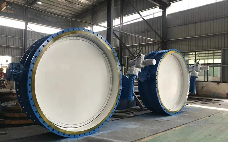 hard seal butterfly valve